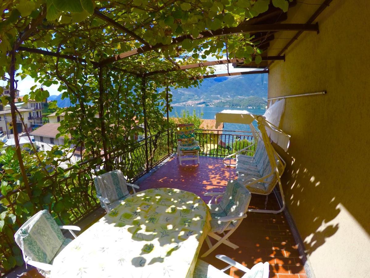 L'Agrifoglio Apartment Lezzeno Exterior photo